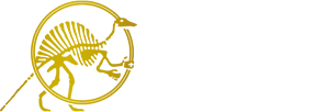 Le Fossile